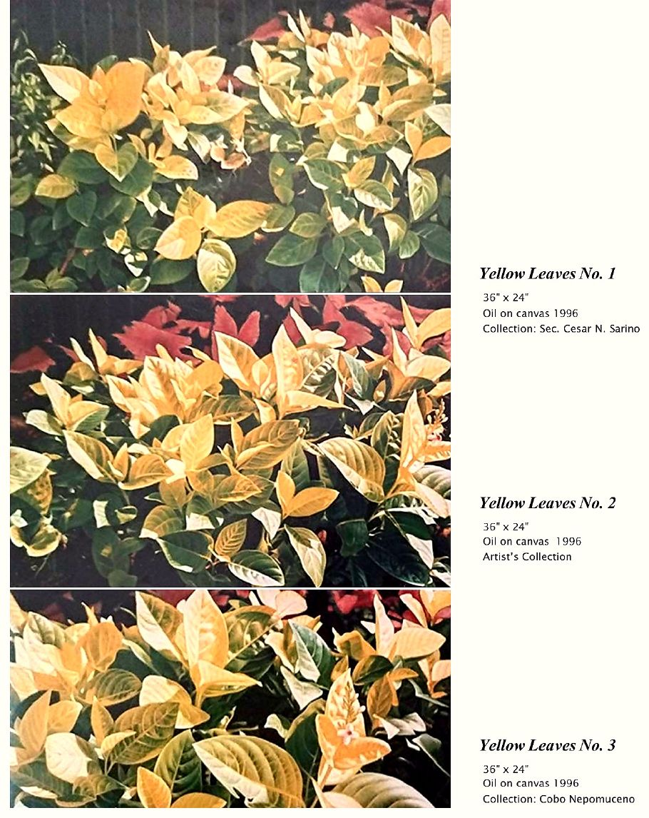 Body of Works catalogue page 62