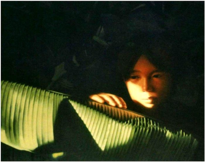 Ilap, 1994