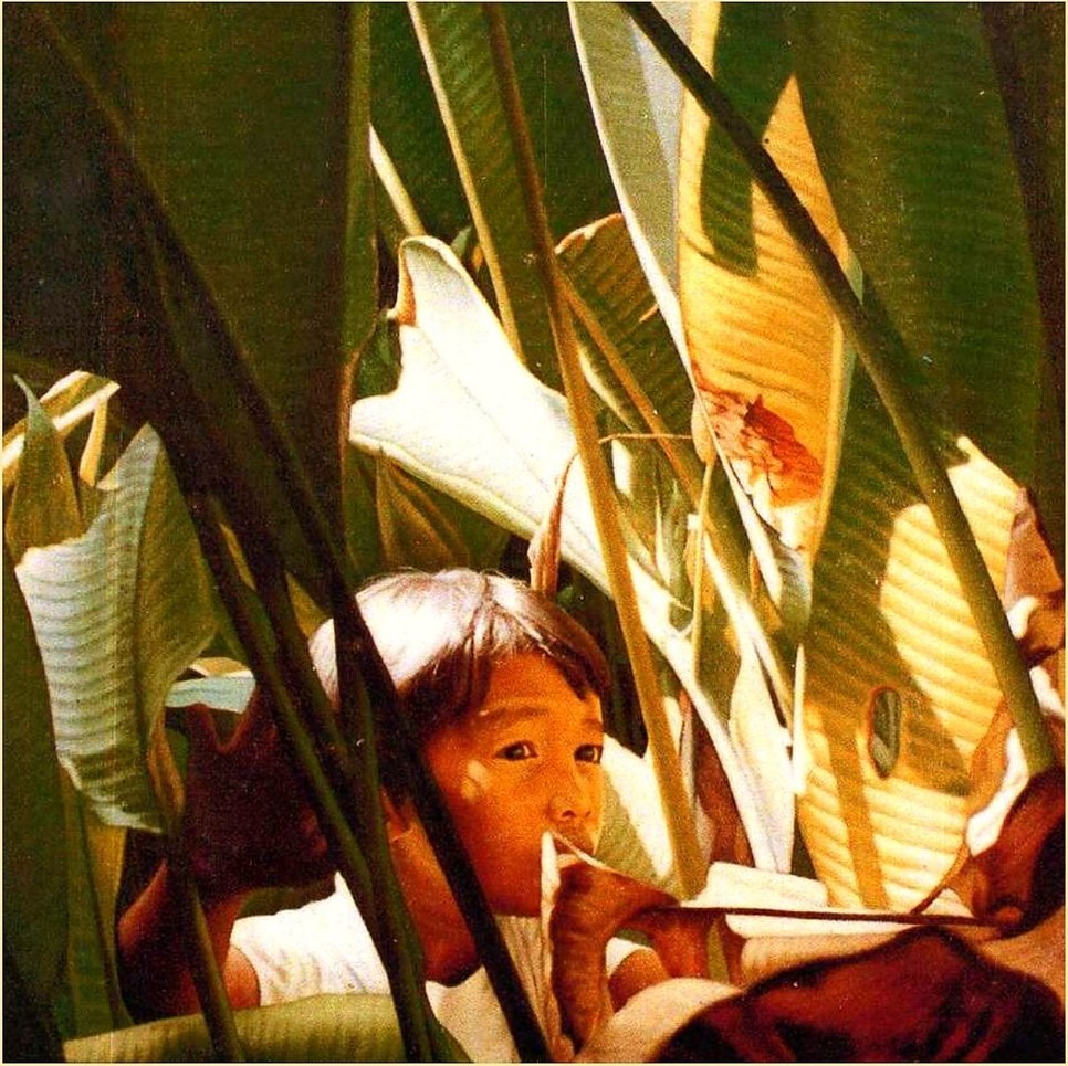 Hanap, 1992 — Shell NSAC, Composed Photorealism